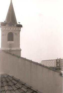 PHOTOS Micheline CASSEN