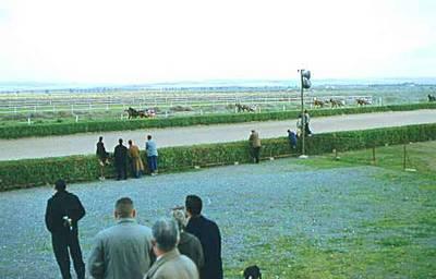 HIPPODROME DU FIGUIER
