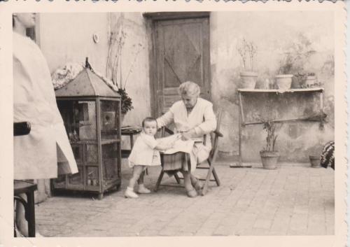 HISTOIRE FAMILLE ROSAS