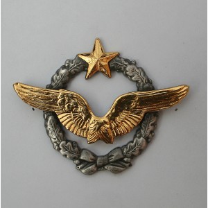 INSIGNES ET HABILLEMENT