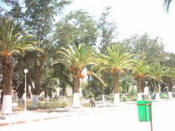 UNIVERSITE ex Base Aérienne 141