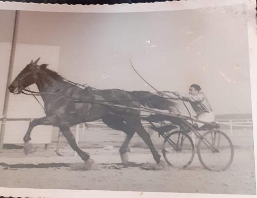 HIPPODROME DU FIGUIER