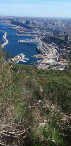 Bruno WAGNER Retour à La Sénia