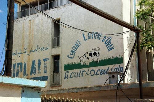 La C L O Centrale Laitière Oran