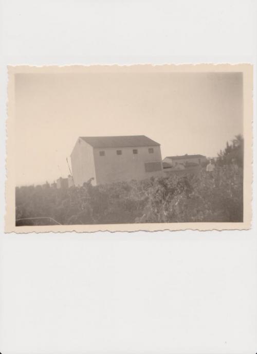 HISTOIRE FAMILLE ROSAS