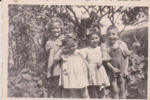 HISTOIRE FAMILLE ROSAS