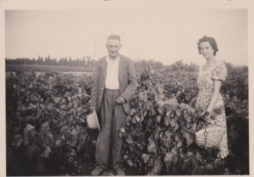 HISTOIRE FAMILLE ROSAS