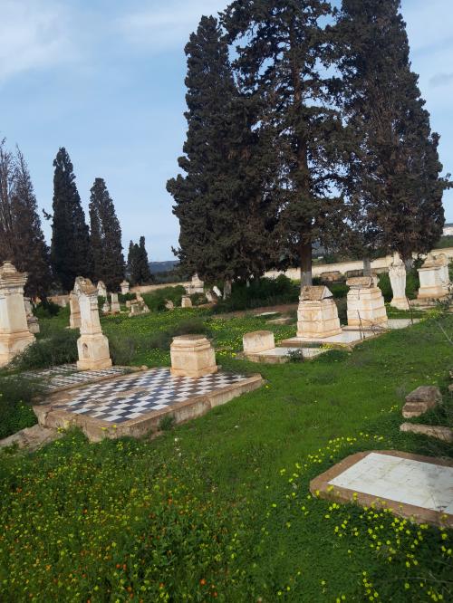 Bruno WAGNER Retour à La Sénia