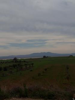 Bruno WAGNER Retour à La Sénia