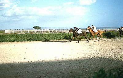 HIPPODROME DU FIGUIER