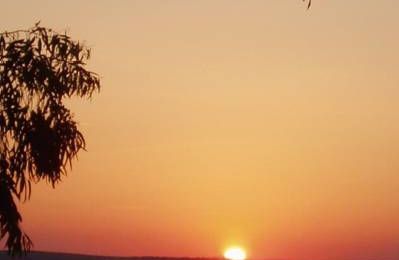   Monique Massot-Escaravage