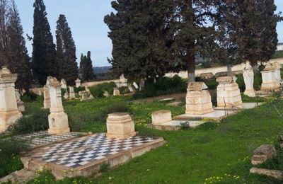 Bruno WAGNER Retour à La Sénia